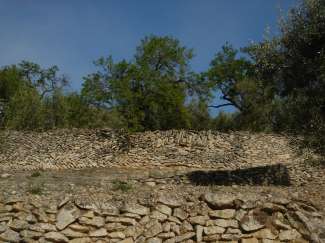 DSC08376.JPG